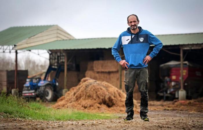 grippe aviaire, un défi quotidien pour cet éleveur landais