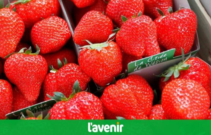 Intermarché bannit les fraises et les cerises de ses rayons en France : qu’en est-il des supermarchés belges ?