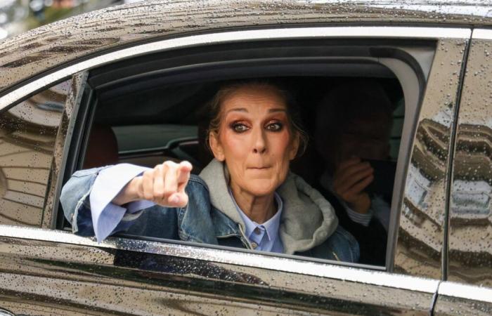 Céline Dion « riche » mais malheureuse ? Patrick Sébastien se ferait couper la main