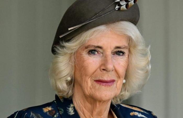 La reine tombe malade et Charles s’inquiète : Camilla annule tous les rendez-vous