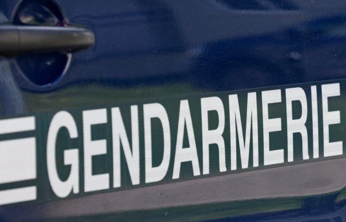 deux enfants retrouvés décapités, leur mère hospitalisée en psychiatrie