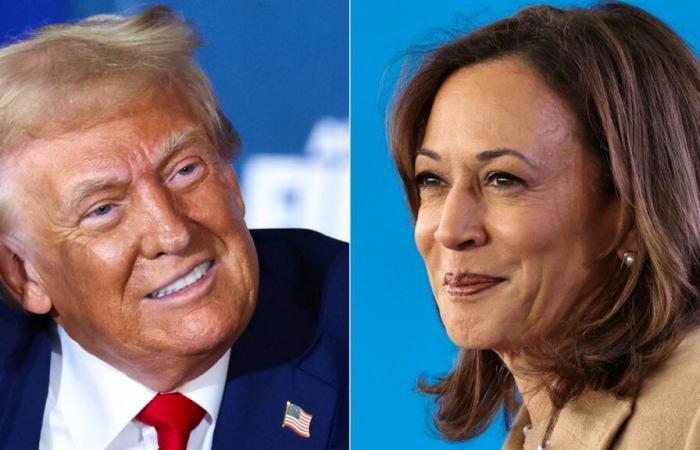 Et s’il y avait un lien parfait entre Trump et Harris ?