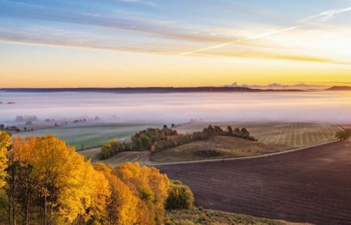 Pourquoi la sécheresse actuelle est-elle notable et pourrait-elle durer ?