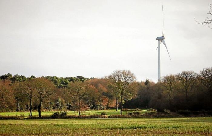 Pesticides, chasse, préemption… Ce qui pourrait changer avec la réserve naturelle des Landes de La Poterie