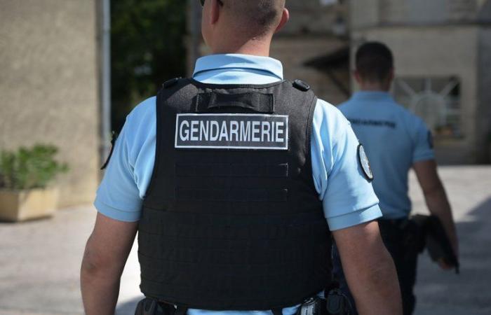 Une jeune femme de 25 ans trouvée à Orgeix, attachée dans un champ après avoir été violée