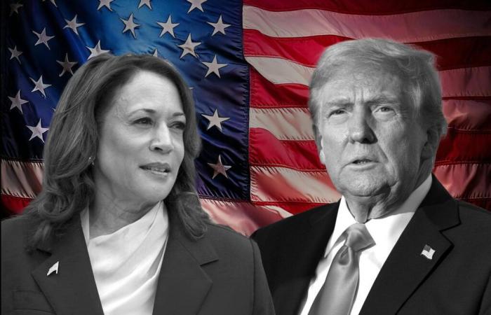 60,6% pour Trump contre Harris, les « chances de gagner » se précisent