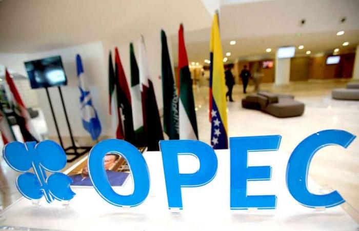 Le marché réagit à la prolongation des réductions volontaires de l’OPEP+ : les prix du pétrole en forte hausse