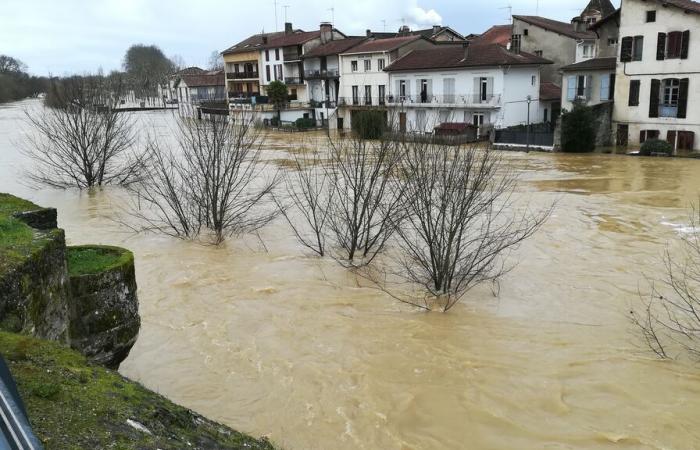 le bassin de l’Adour voudrait se reconstruire encore mieux