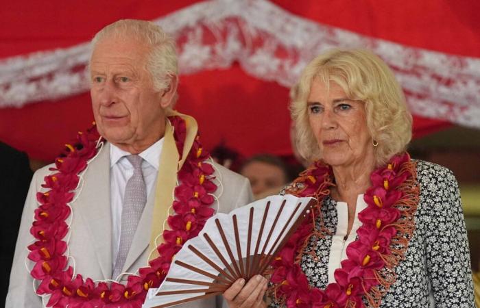 La reine Camilla se retire de ses engagements pour des raisons de santé