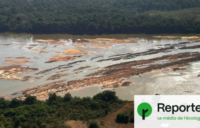 Une sécheresse extrême frappe la Guyane