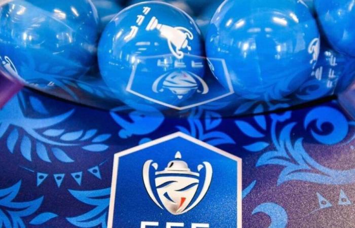 Football. Découvrez les affiches de la finale régionale de la Coupe Gambardella en Pays de la Loire