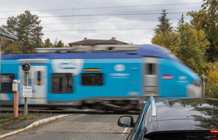 Hautes-Alpes. Un conducteur de 45 ans heurté par un train