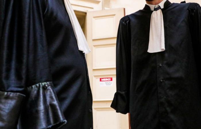 il aurait détourné 19 000 € du compte de sa mère, son avocat invoque « l’immunité familiale »