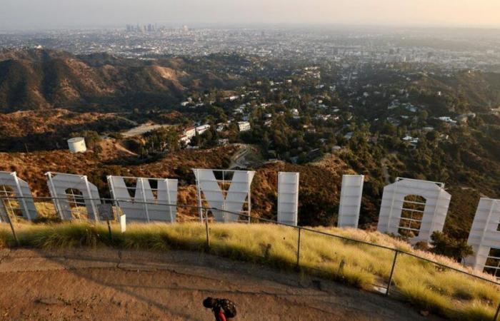 Hollywood réagit à la victoire de Trump avec choc et consternation