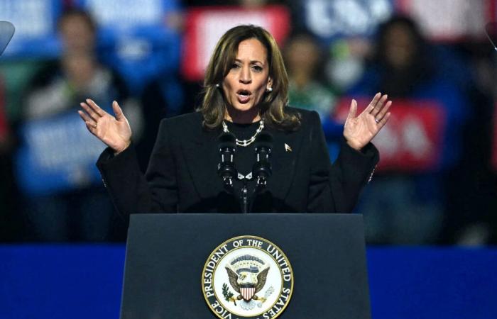 Kamala Harris aurait besoin d’un « miracle » au milieu du vent contraire des sondages à la sortie des sondages : Chris Wallace