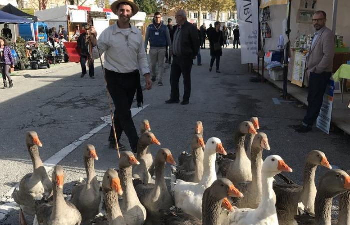 un week-end de festivités à Lectoure et L’Isle-Jourdain