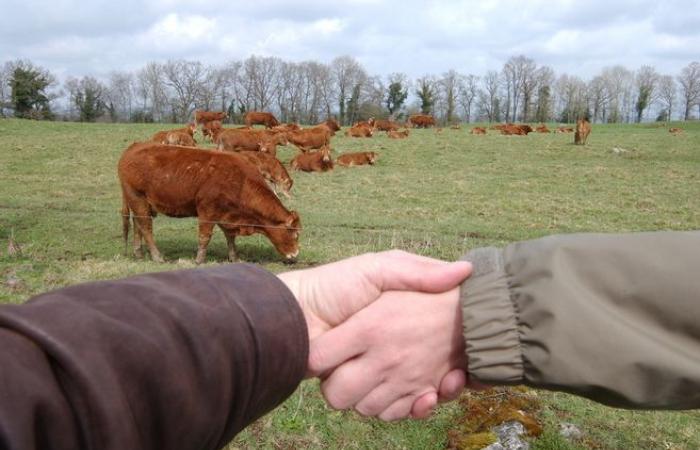 La Haute-Loire accueillera une tribune sur la délicate question de la transmission agricole