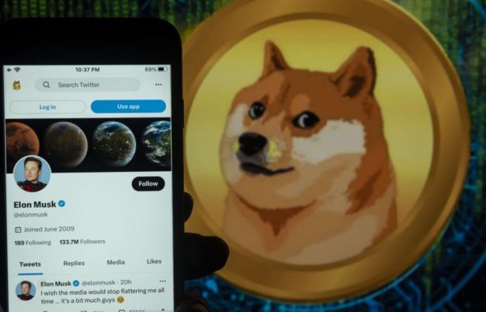 Le Dogecoin et d’autres memecoins augmentent alors que Trump remporte l’élection présidentielle