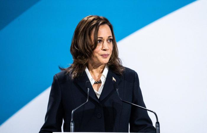 Pourquoi Kamala Harris a-t-elle été si durement battue par Donald Trump ?