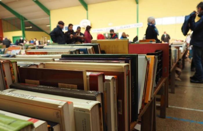 A Vendôme, il sauve des tonnes de livres promis à la destruction