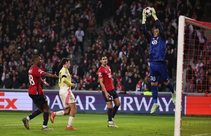 Ligue des champions. Le LOSC se surclasse dans la compétition, 5 raisons de croire qu’il réalisera sa meilleure campagne