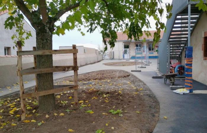 La nature reprend ses droits sur le bitume dans cette école du vignoble nantais