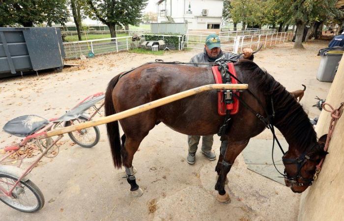 Les professionnels des courses hippiques du Tarn-et-Garonne inquiets pour leur sort