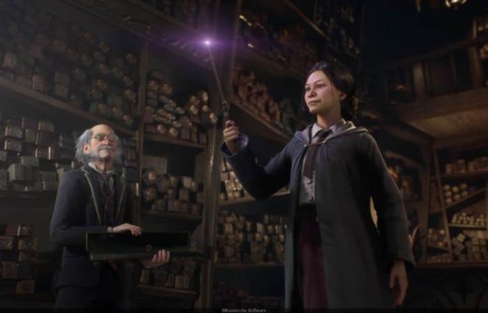 le meilleur jeu vidéo de la série Harry Potter aura une suite !