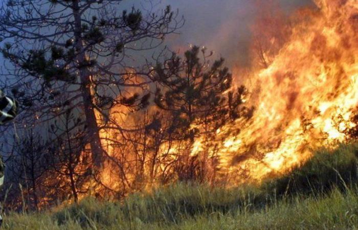 un ancien chef des pompiers condamné à 3 ans de prison pour 6 incendies criminels