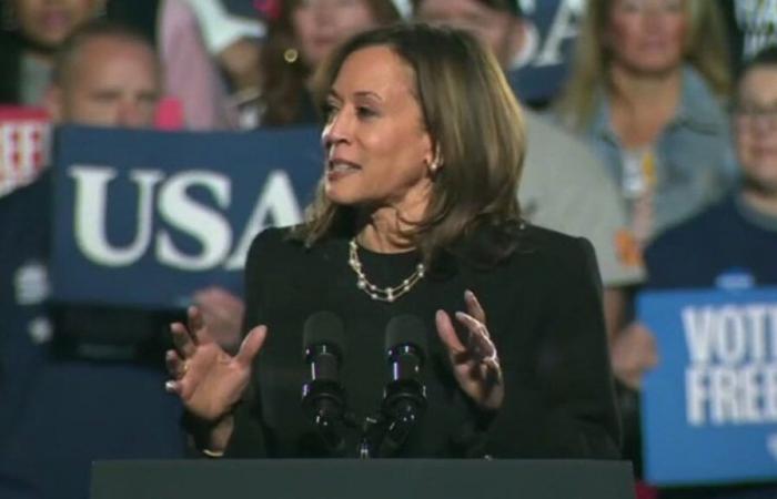 De quels États Kamala Harris a-t-elle besoin pour gagner ?