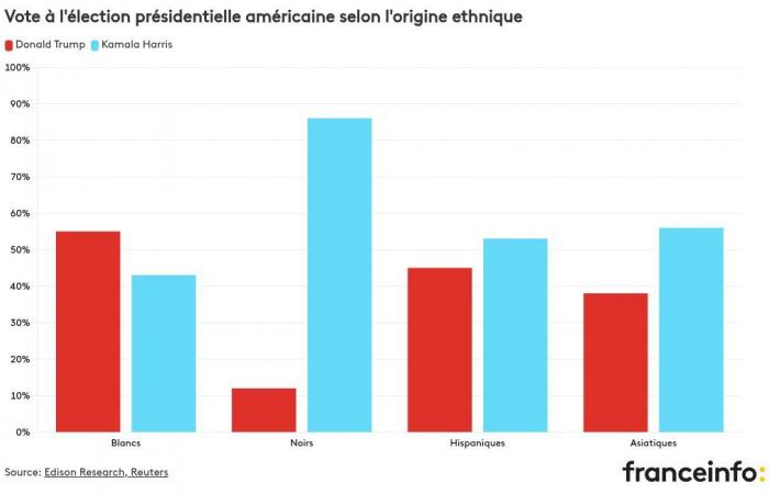 Pour qui les femmes, les jeunes ou les minorités ethniques ont-ils voté ?