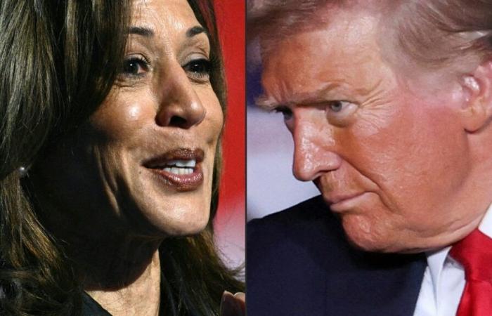 L’histoire se répète ? Que se passera-t-il si Trump et Harris gagnent tous les deux le 5 novembre ? au lendemain des élections américaines