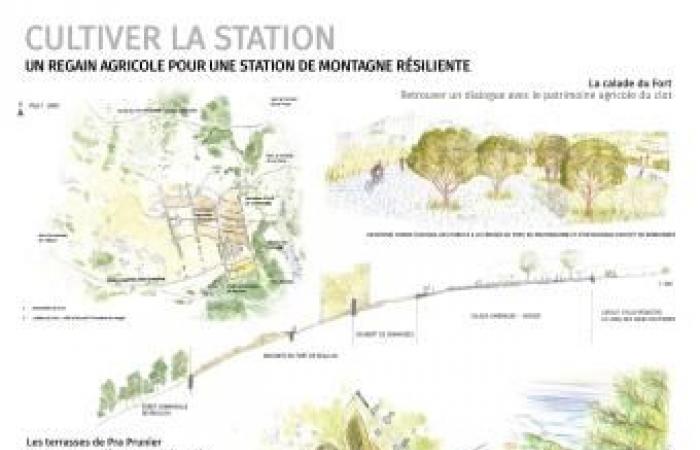 Des pistes pour l’avenir de Réallon