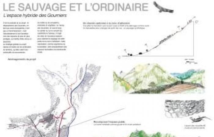 Des pistes pour l’avenir de Réallon