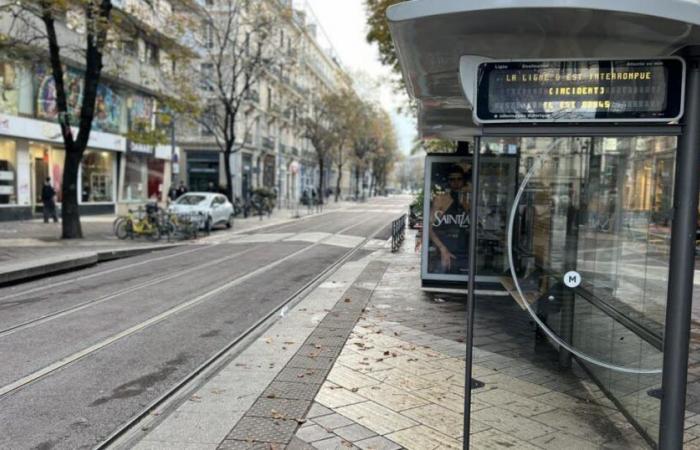 aucun bus ni tram ne circulera ce mercredi