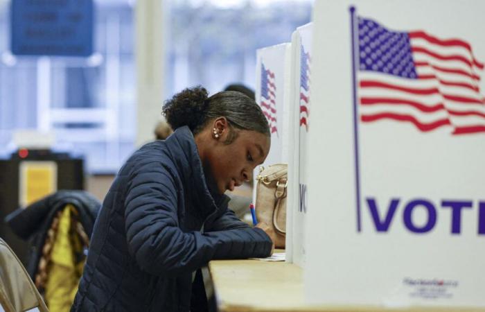 Pour qui les femmes, les jeunes ou les minorités ethniques ont-ils voté ?