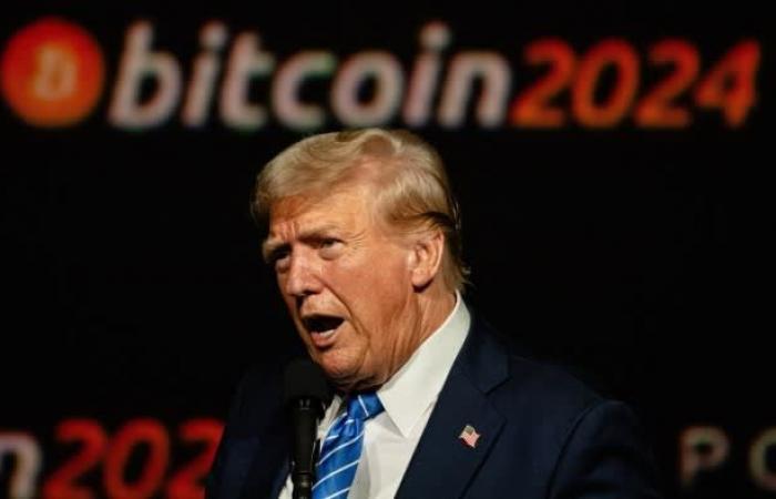 Bitcoin atteint un niveau record au-dessus de 75 000 $ alors que les traders parient sur la victoire de Trump