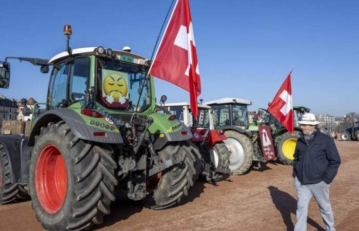 Grande distribution : payer le juste prix aux agriculteurs