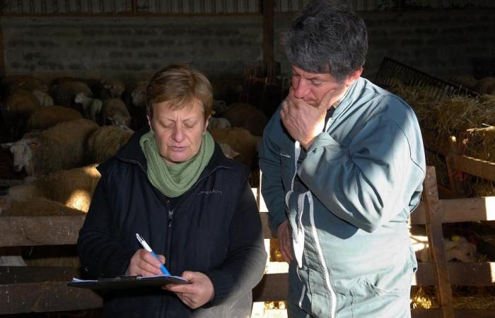 Nicolas Merle : La Haute-Loire était un département test, et “ça marche”