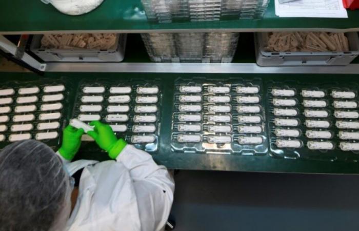 Baisse de la consommation d’antibiotiques en France en 2023, après deux ans de rebond : Actualités