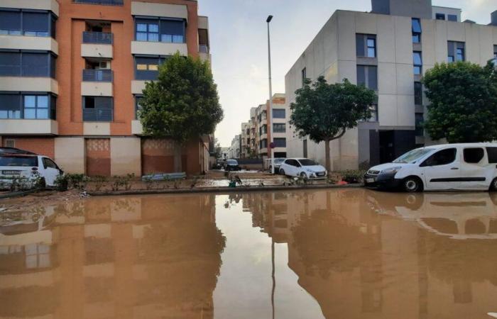 la solidarité s’organise dans le Vaucluse