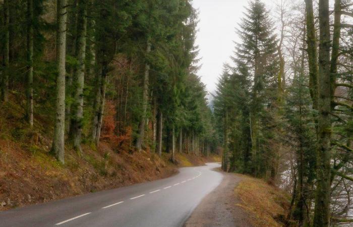 Il voulait punir son fils de 6 ans en le laissant seul la nuit dans les bois, l’enfant s’accroche à la voiture et se fait traîner