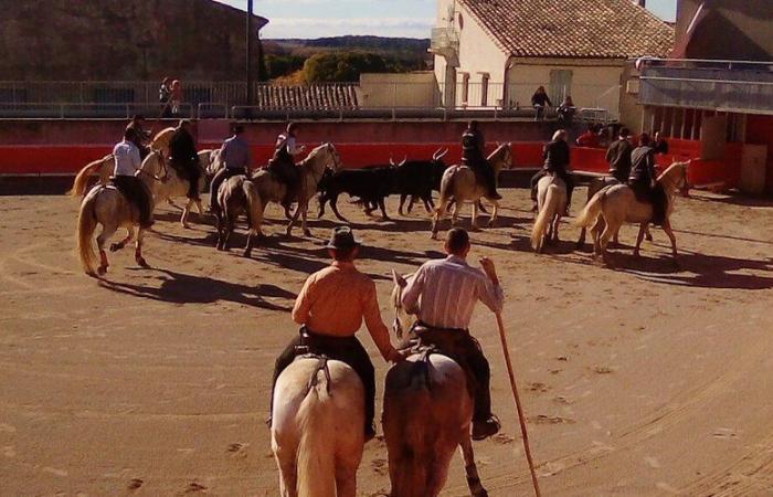 La fête reprend pour la Saint-Martin