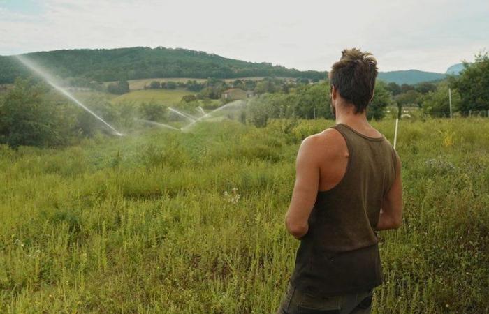 Ciné débat pour le retour du Festival Alimenterre à Montesquiou dans le Gers