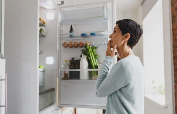 Quel est le meilleur réfrigérateur basse consommation à choisir en 2024 ?