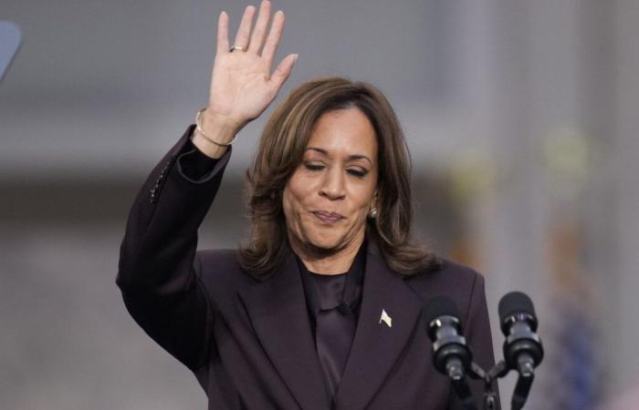 La candidate démocrate à la présidentielle américaine, Kamala Harris, reconnaît sa défaite, mais « n’abandonnera jamais le combat »