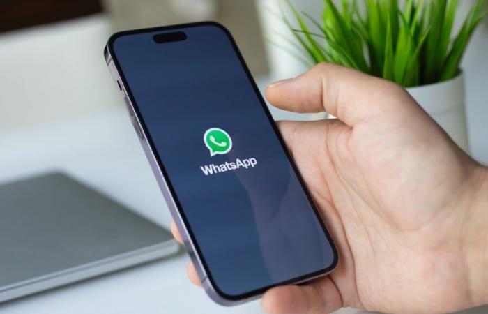 WhatsApp lutte contre la désinformation avec cette nouvelle fonctionnalité