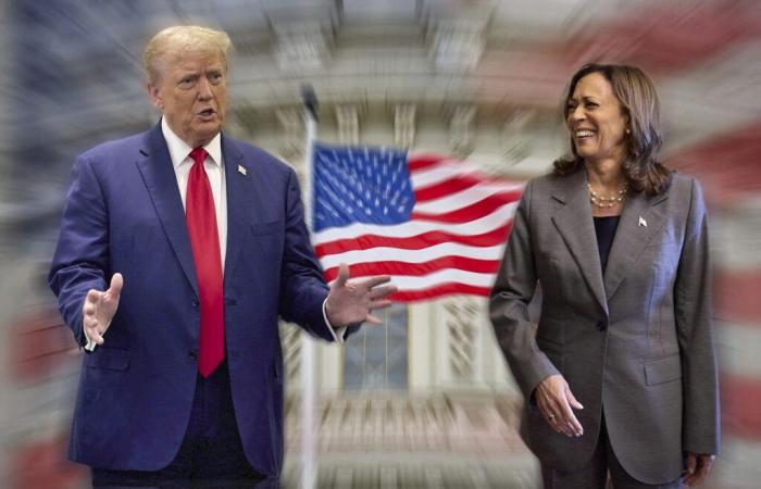 Avant son discours de « concession », Kamala Harris a appelé Donald Trump pour le « féliciter »