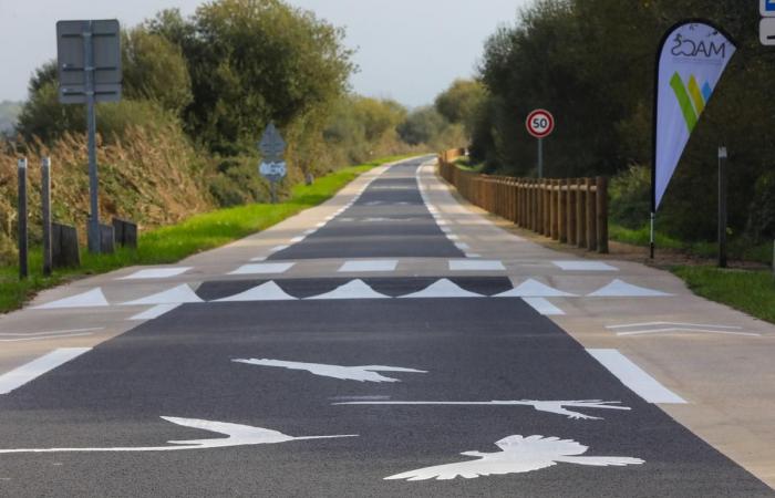 quel est le « chaucidou » qui permet de traverser le marais d’Orx ?