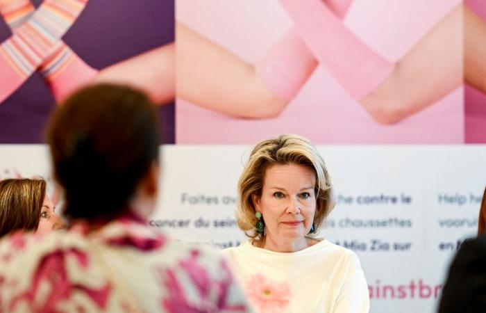 La reine Mathilde participe aux tables rondes pour la recherche sur le cancer du sein